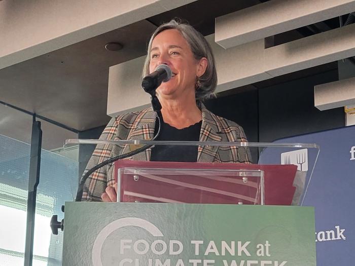 GFI Director Stacy Dean speaking
