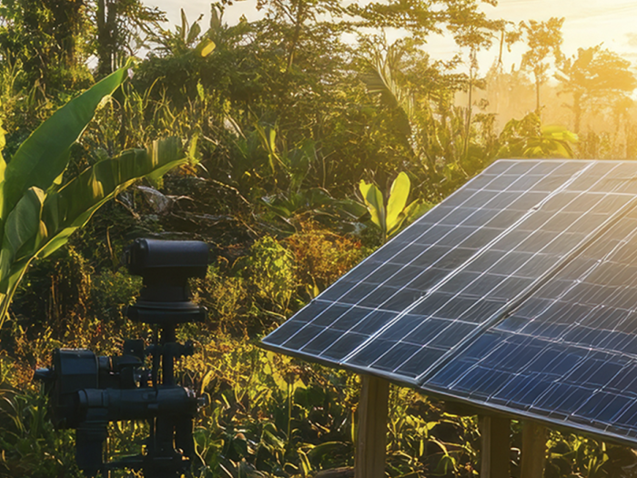 a solar panel in a forest