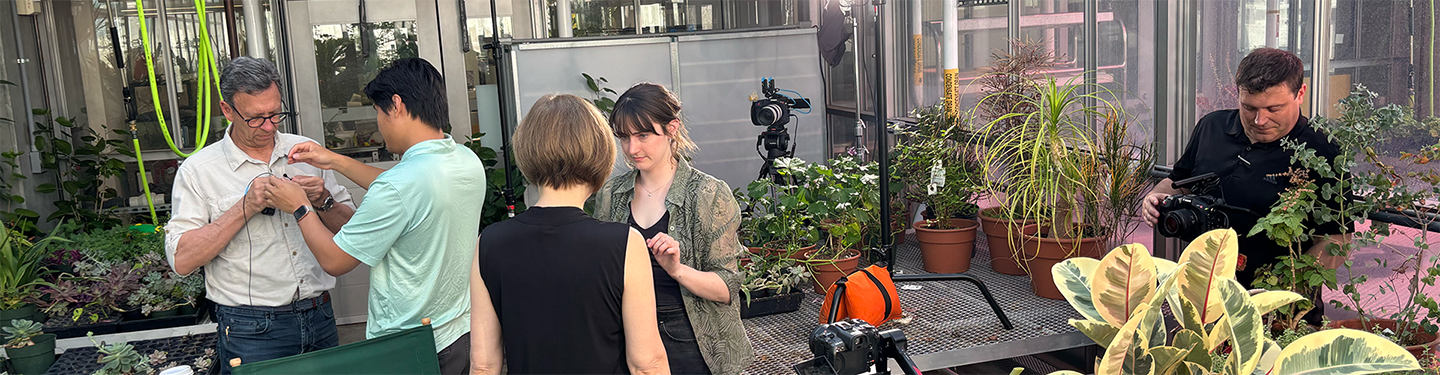 six people in a greenhouse